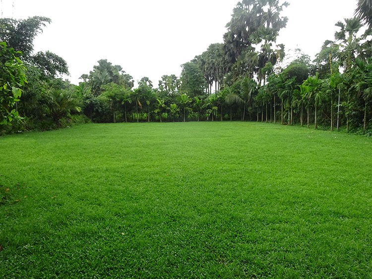 Lawn for functions