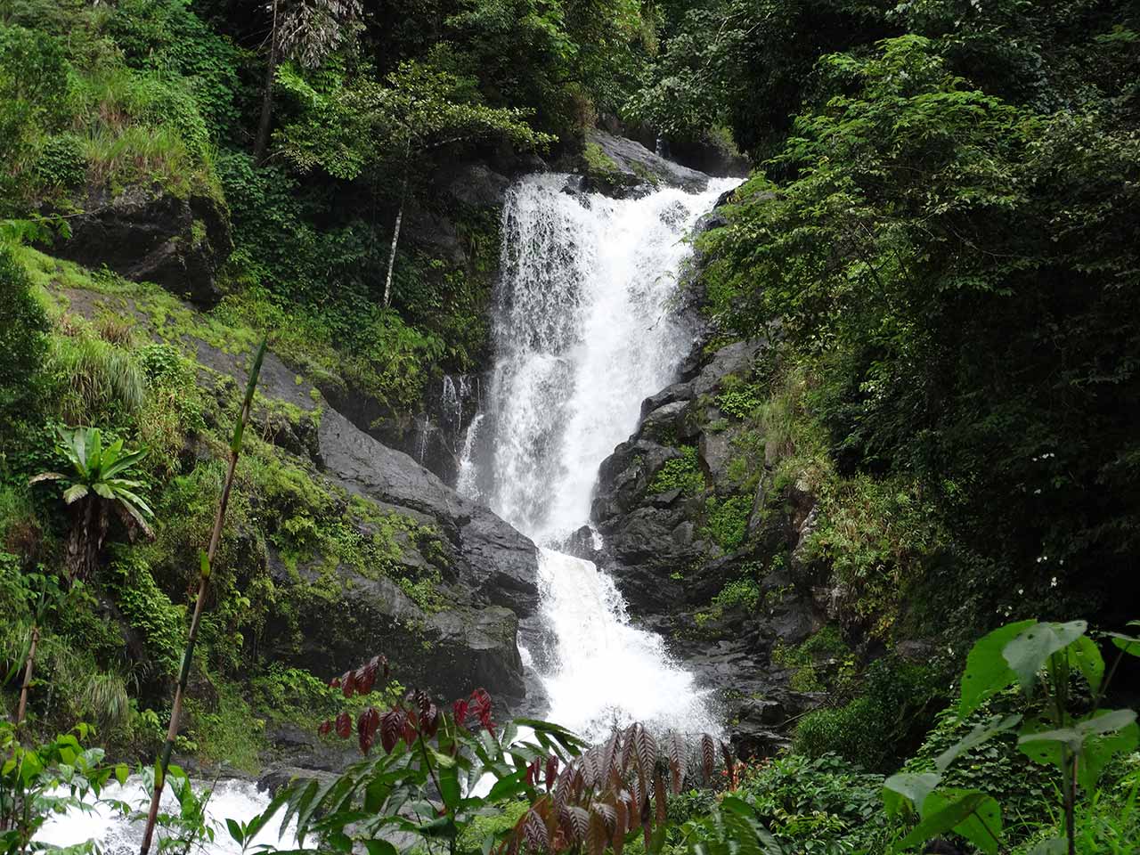 Iruppu Waterfalls