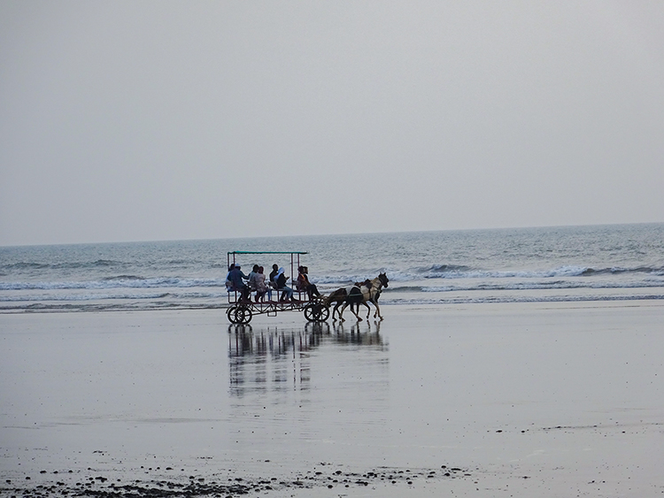 Horse ride at Murud beach