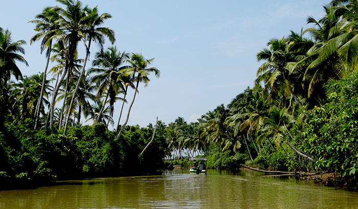 Neyyar River