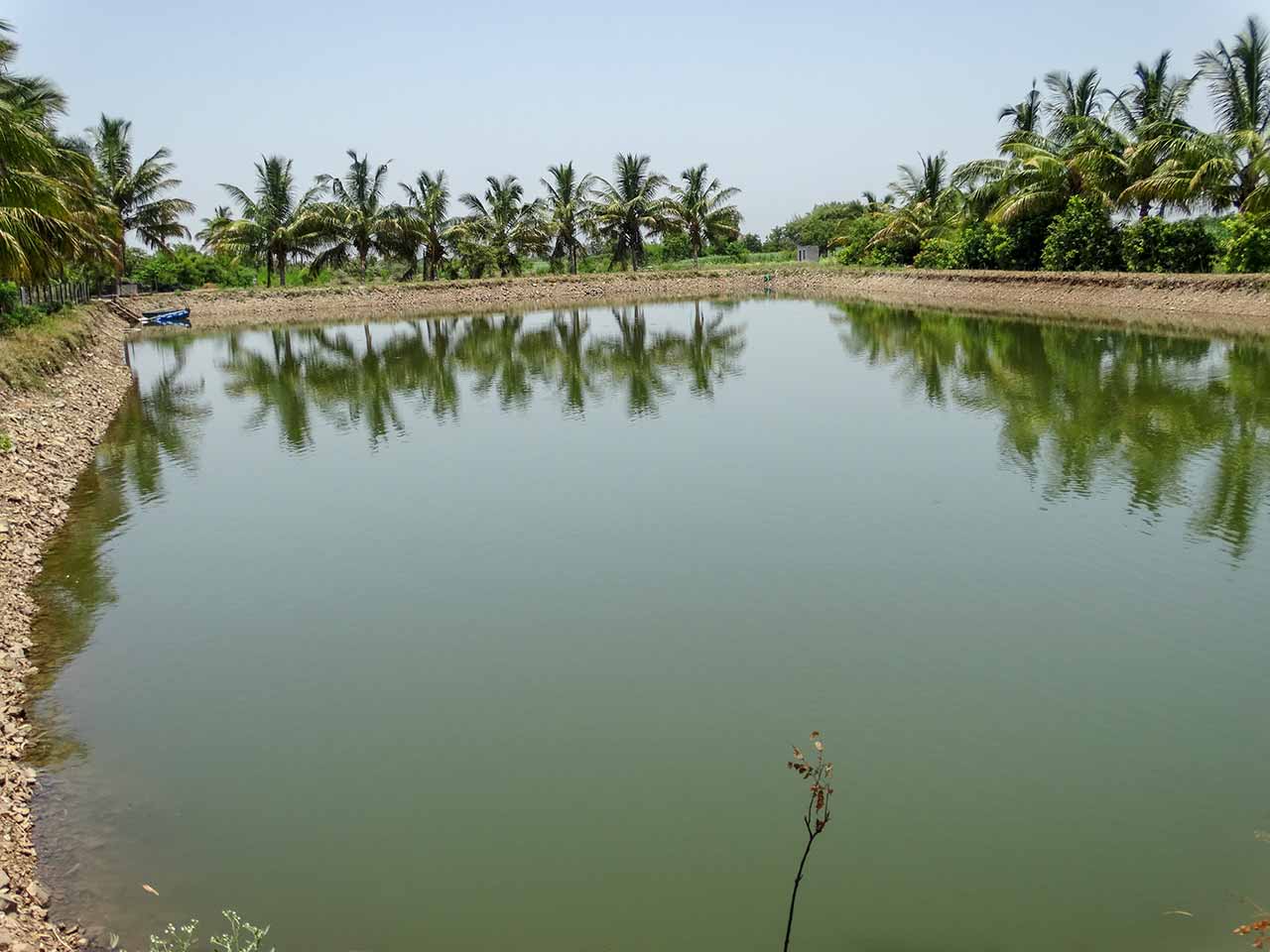 Water Talav or Pond