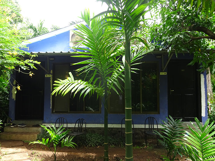 Cottages at the Resort