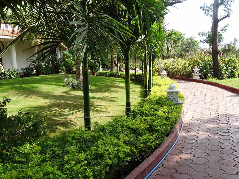 Walking Track