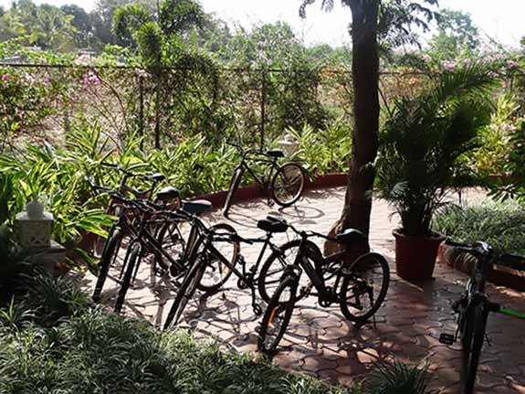 Cycle Stand