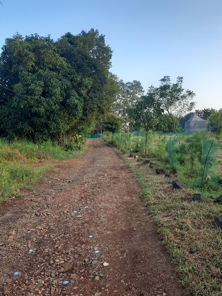 Entrance road