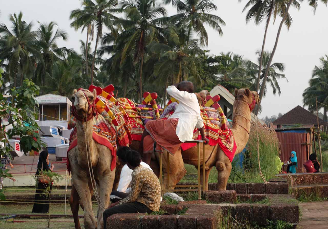 Children's Park in Bekal Beach