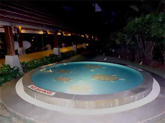 Kids Swimming Pool
