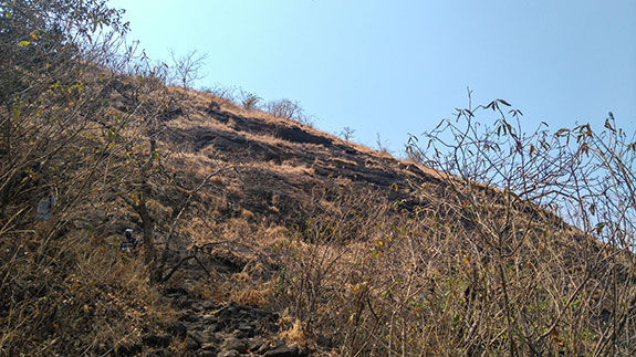 Amboli