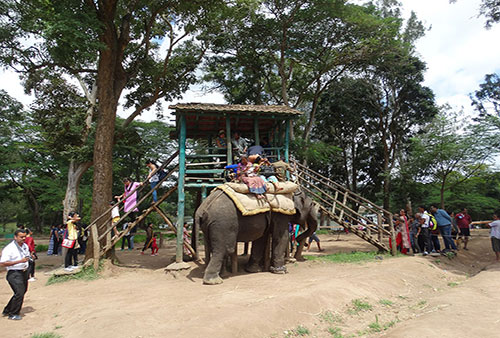 Dubare Elephant Camp