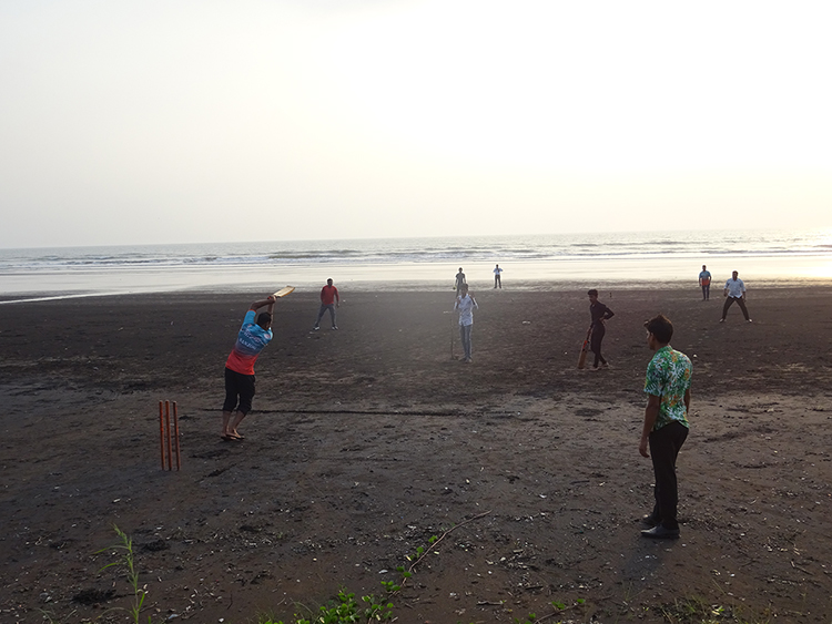 Cricket on the beach