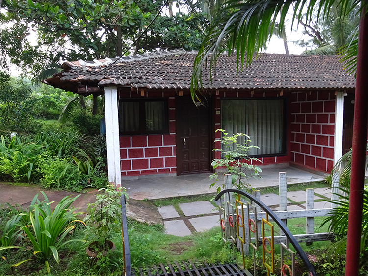 Cycle Stand