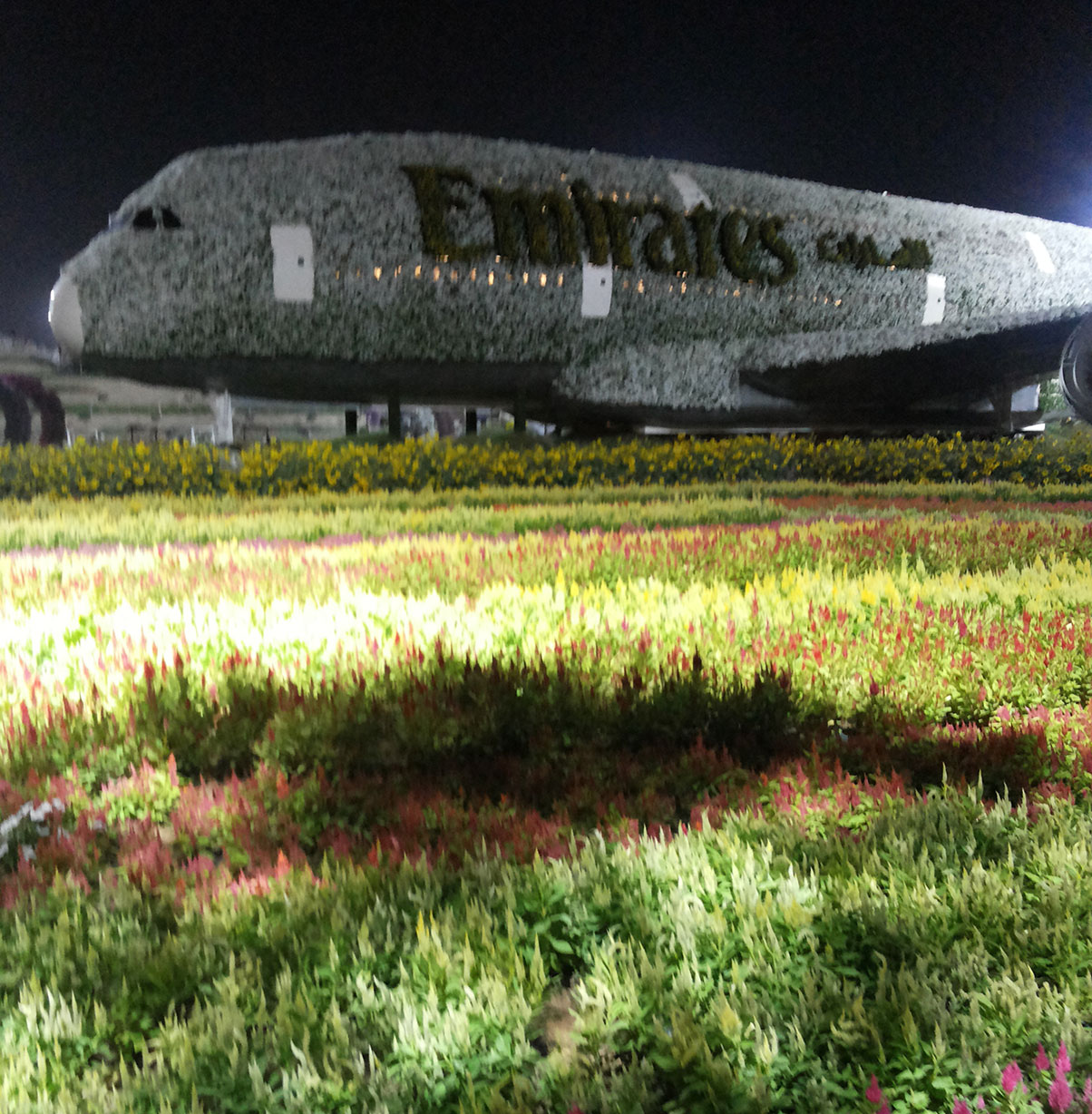 Flowery Emirates Aeroplane