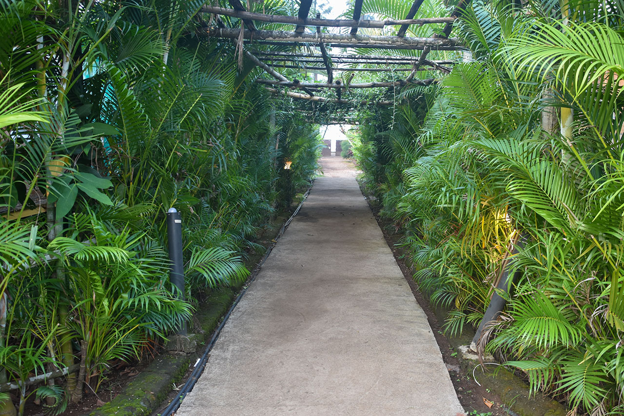 Access to Beach
