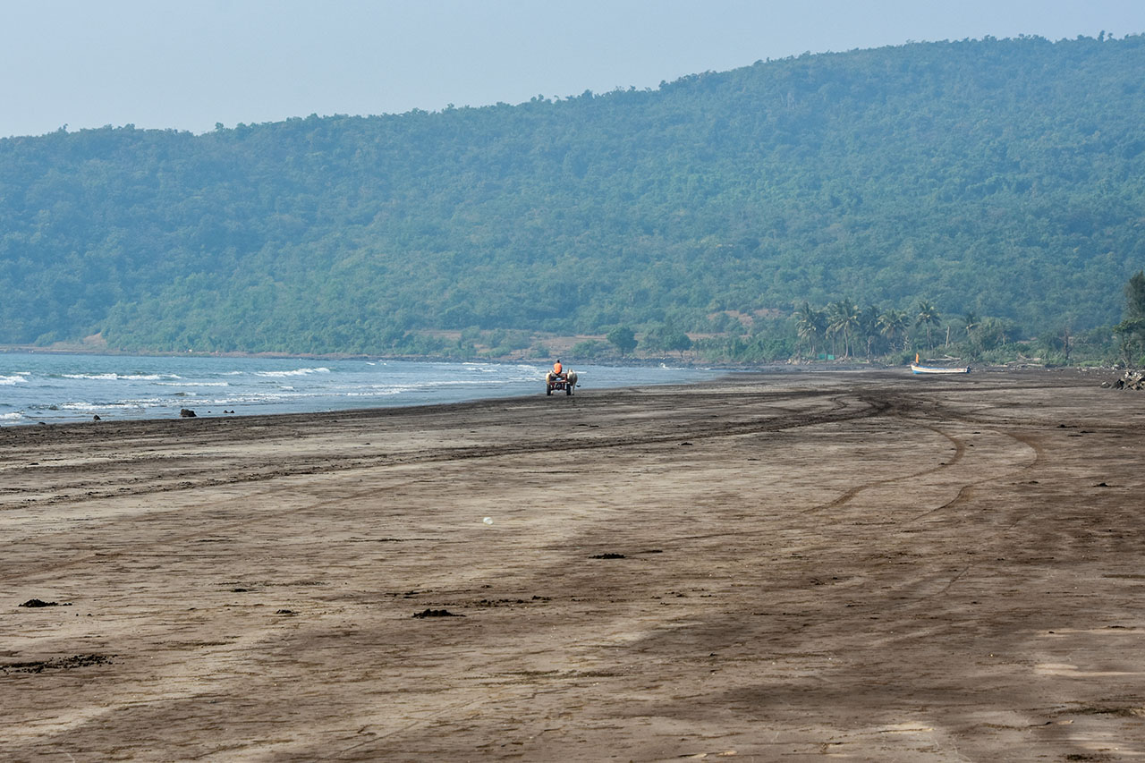 View of the beach