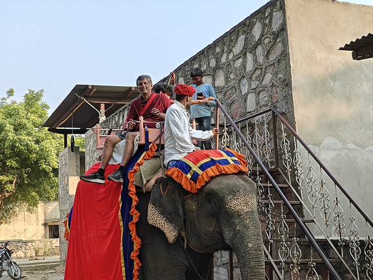 Elephant Ride