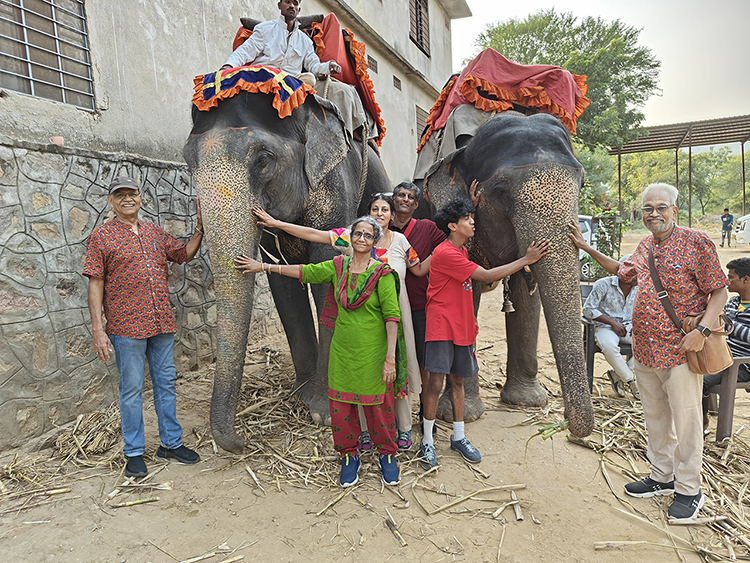 Meet and Greet Elephant