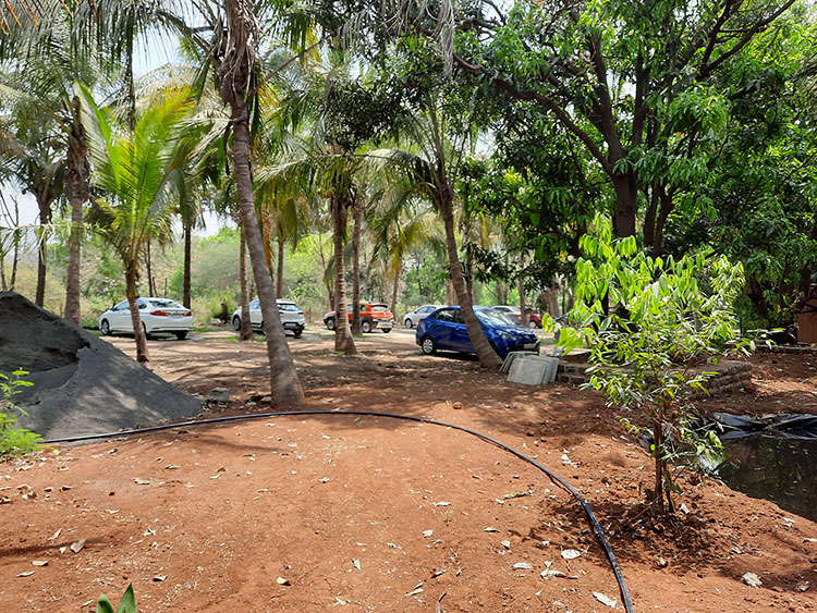 Parking of the Resort