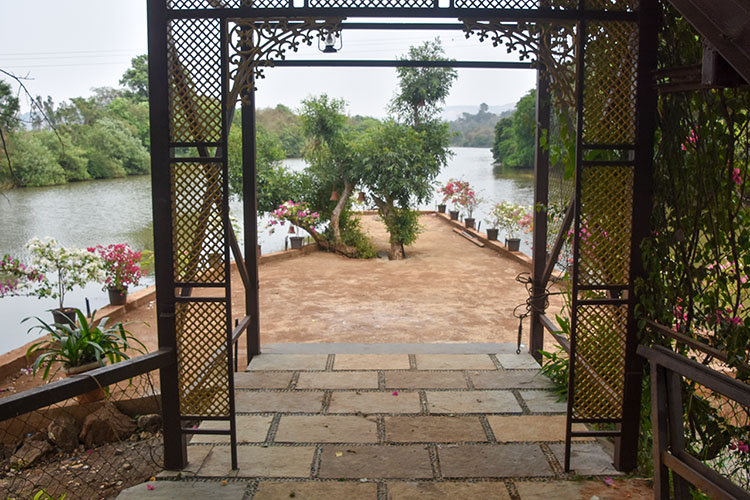 Bird watching area