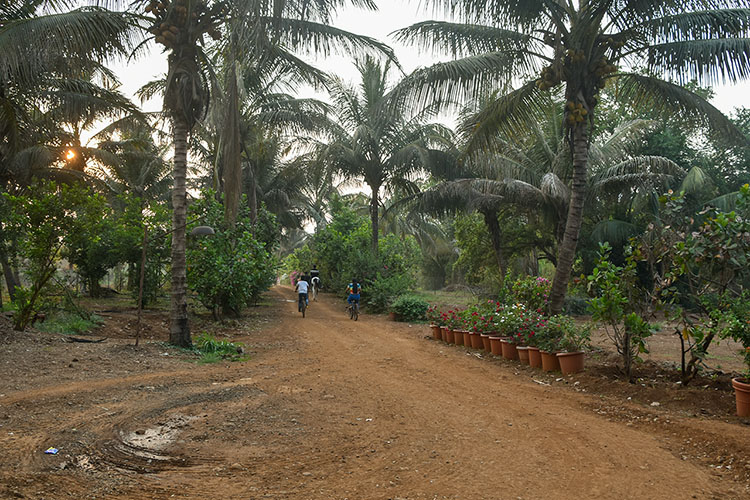 Cycle Ride