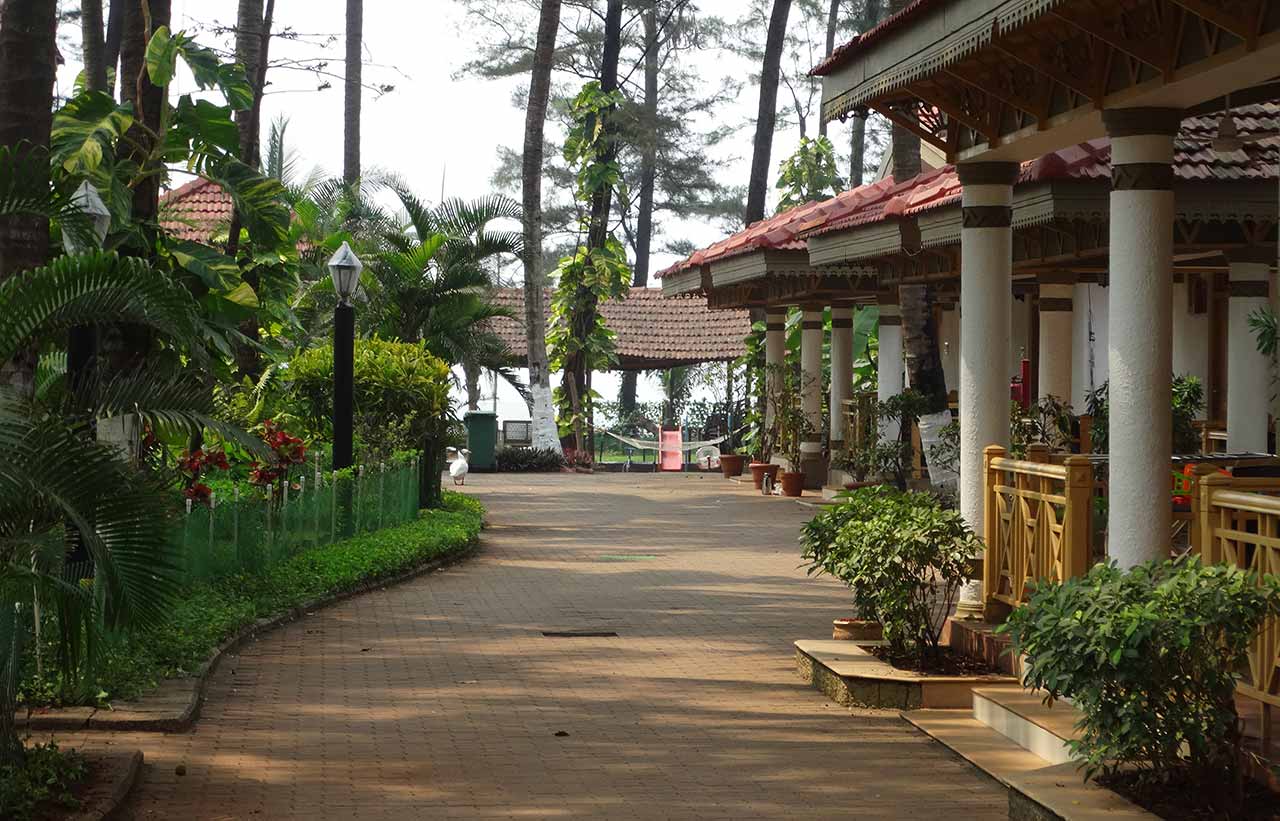 Cottages of the resort