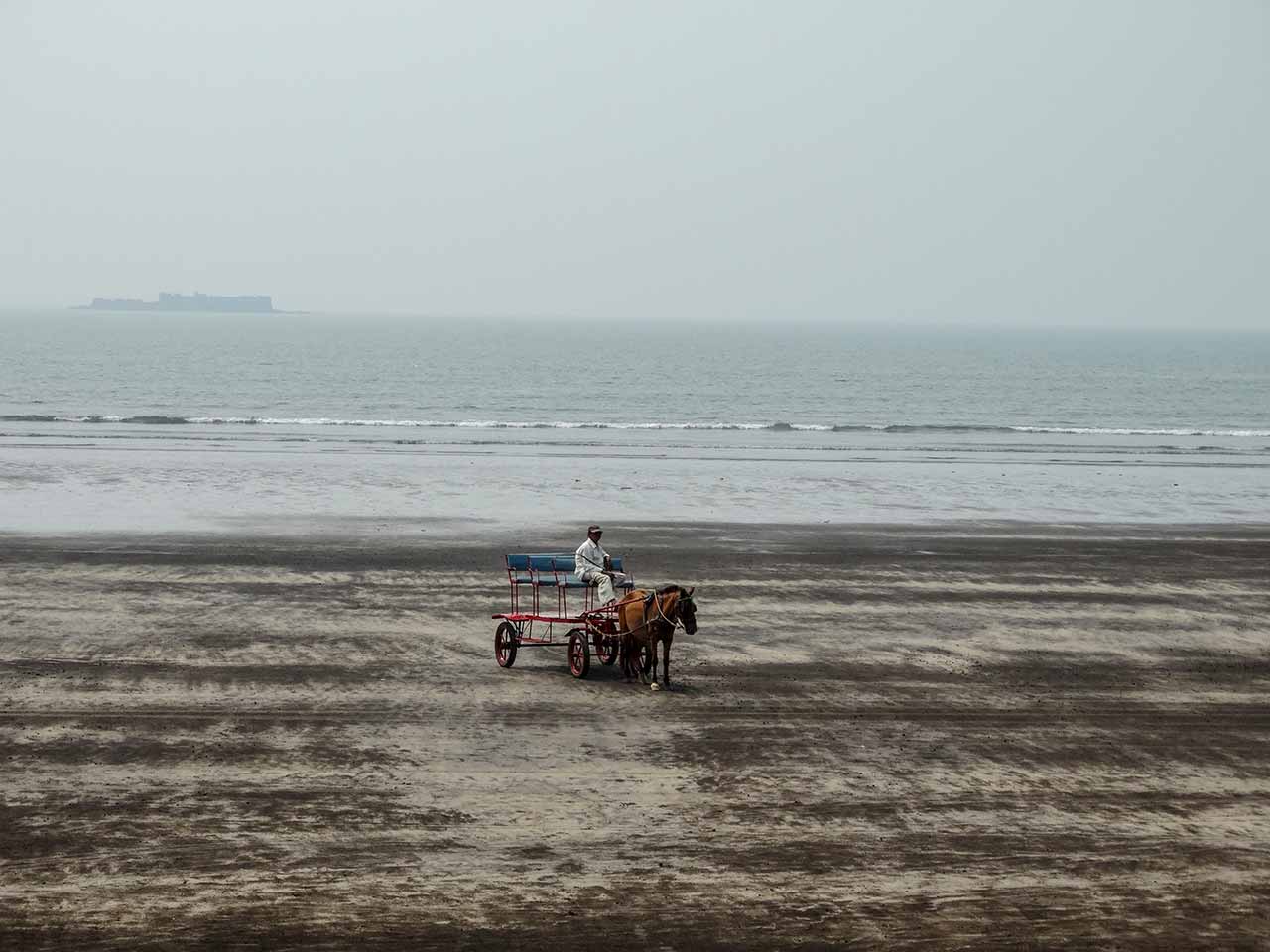 Horse Ride at the beach