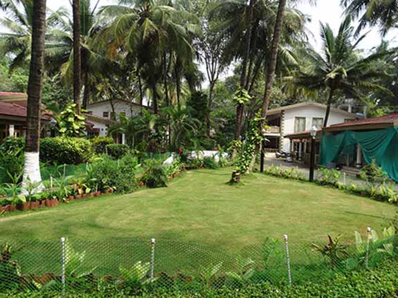 Resort Lawn