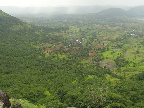 View on the way