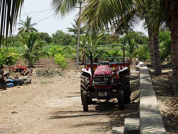 Tractor Ride