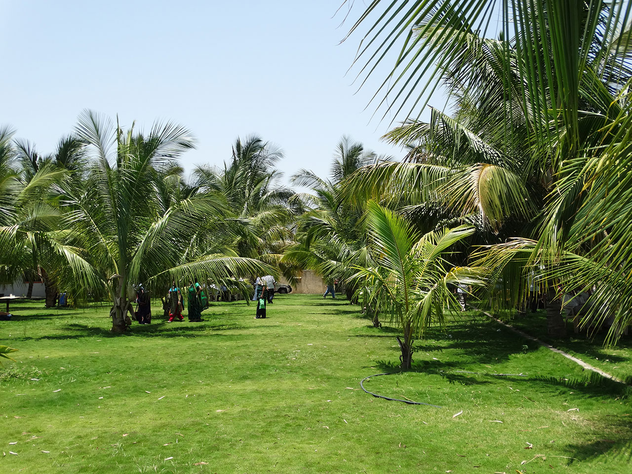 Resort inside area