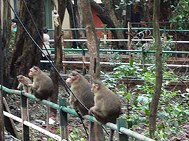 Matheran