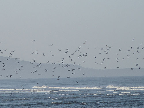 Velas Agar Beach