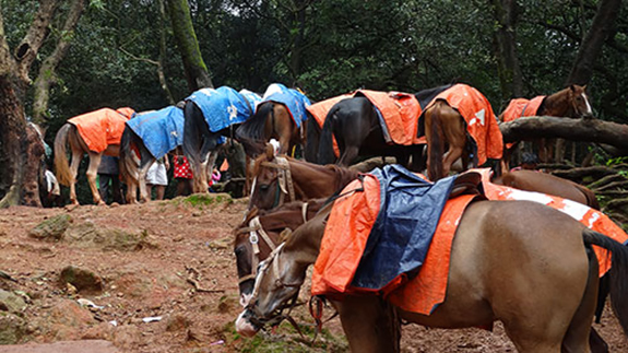 Matheran