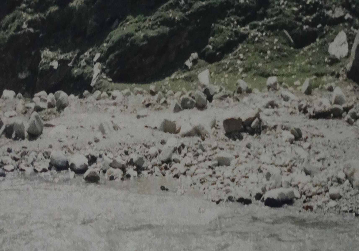 River in Manali