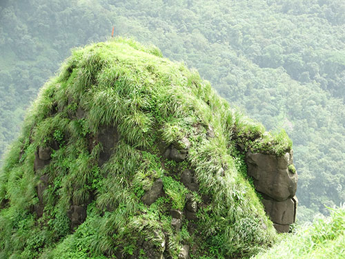 Lion face hill