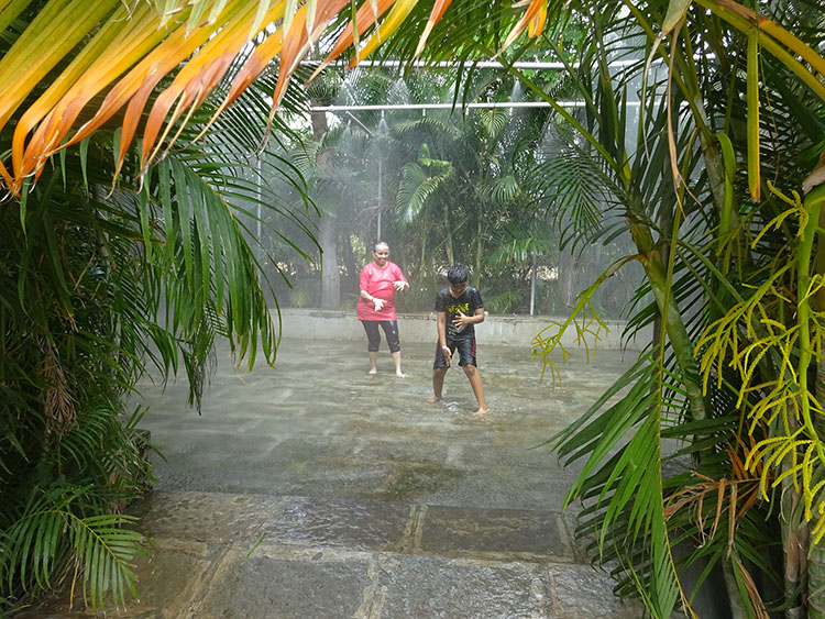 Rain Dance