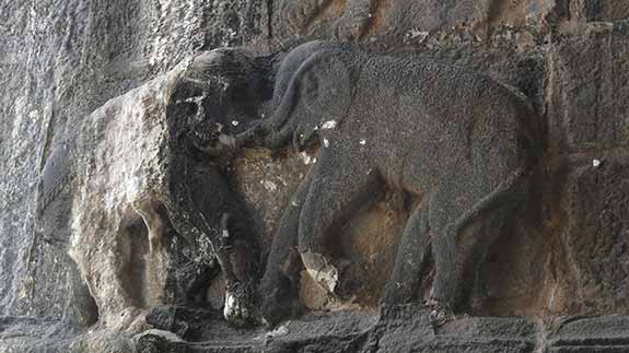 Elephant inscription on the wall