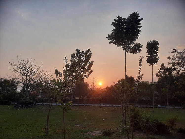 Sunrise at Chitwan Resort