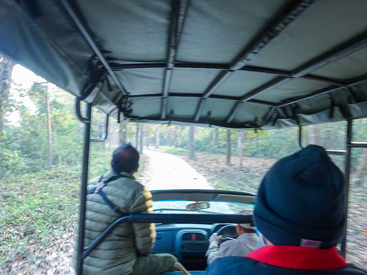Safari Journey