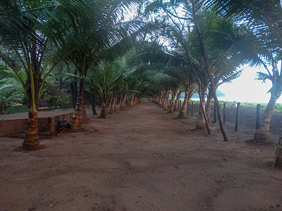 Walkway