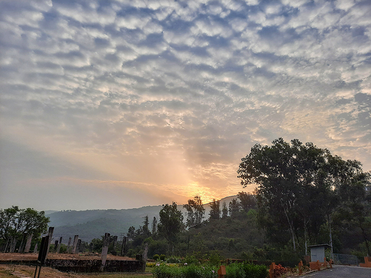 Sun rise