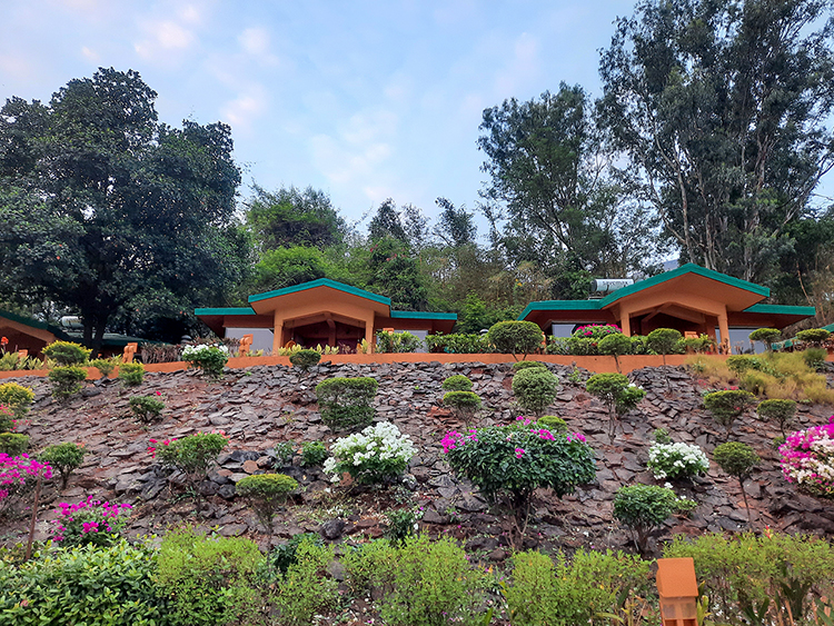 Cottages and rooms
