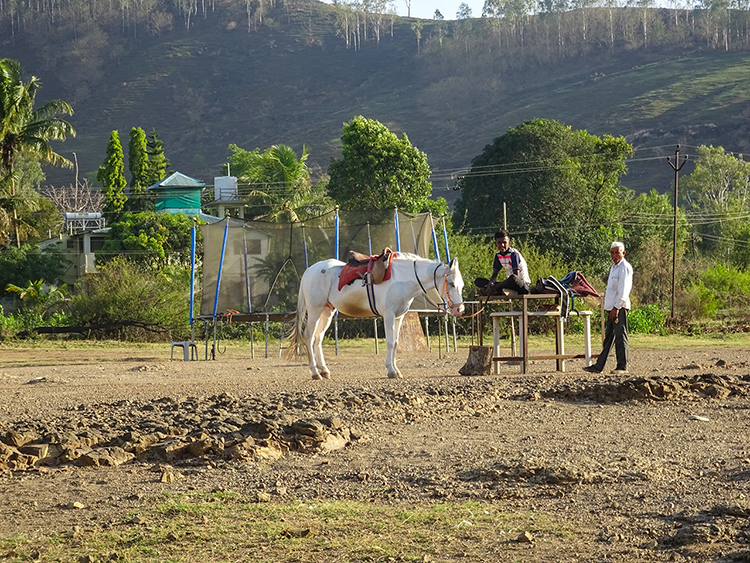 Horse Ride