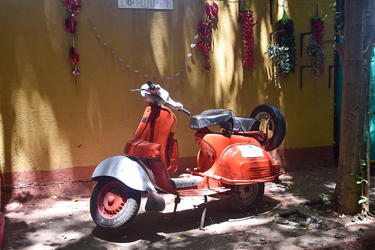Scooter