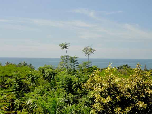 View of sea from the cottage