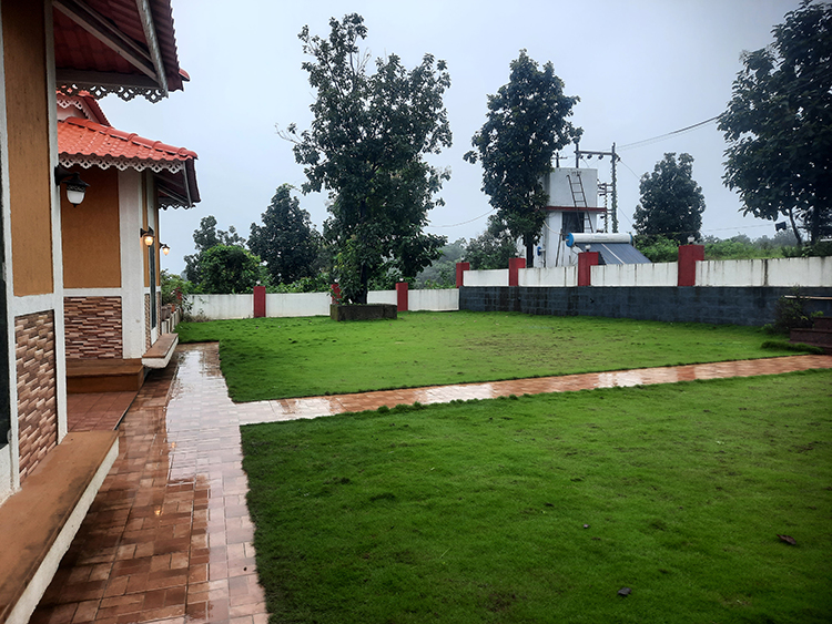 The Lawn Area