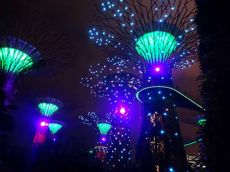 Supertrees at night during show