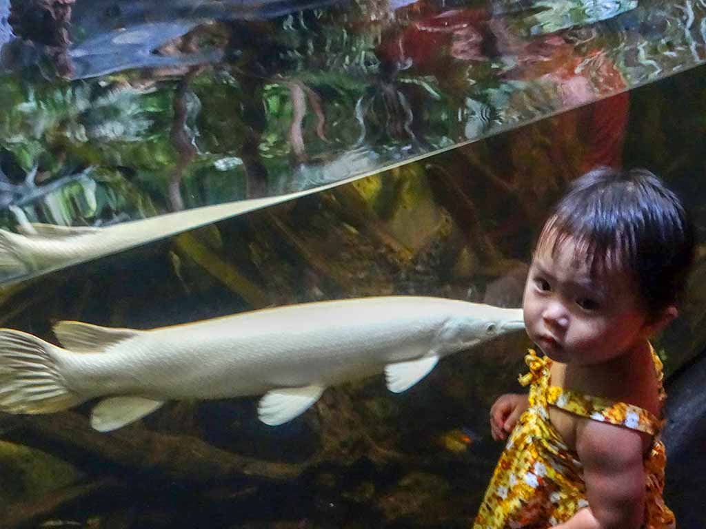 Child and a fish