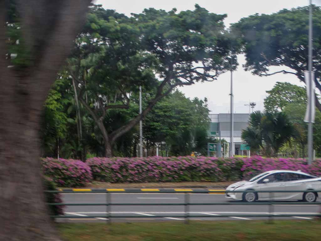 Singapore Road