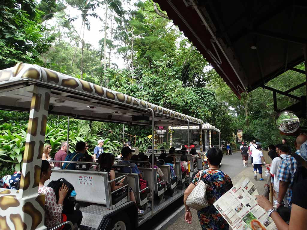 Tram Car