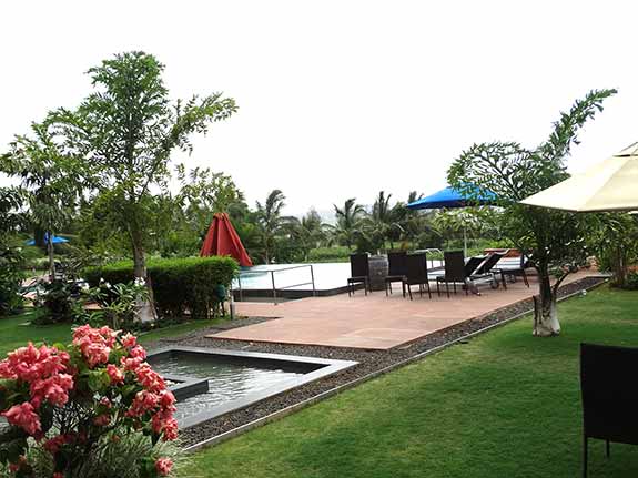 Swimming Pool area